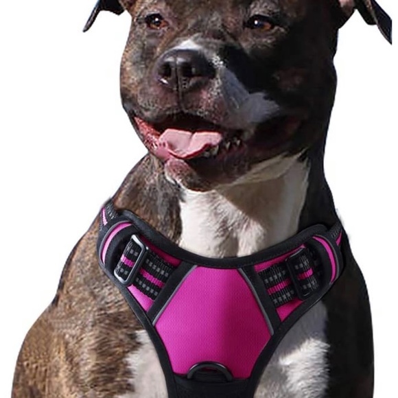 Igloo dog harness - Picture 5 of 7